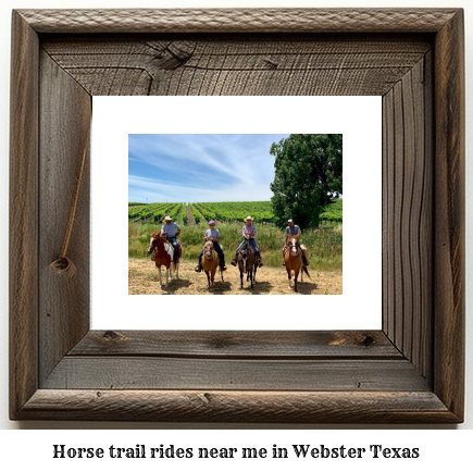 horse trail rides near me in Webster, Texas